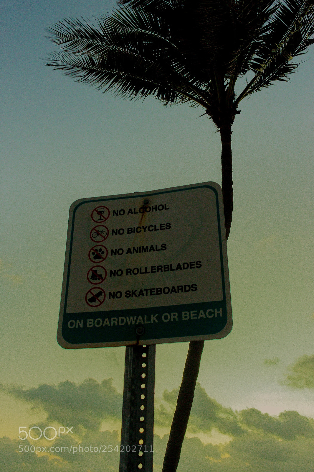 Canon EOS 700D (EOS Rebel T5i / EOS Kiss X7i) sample photo. Deerfield beach photography