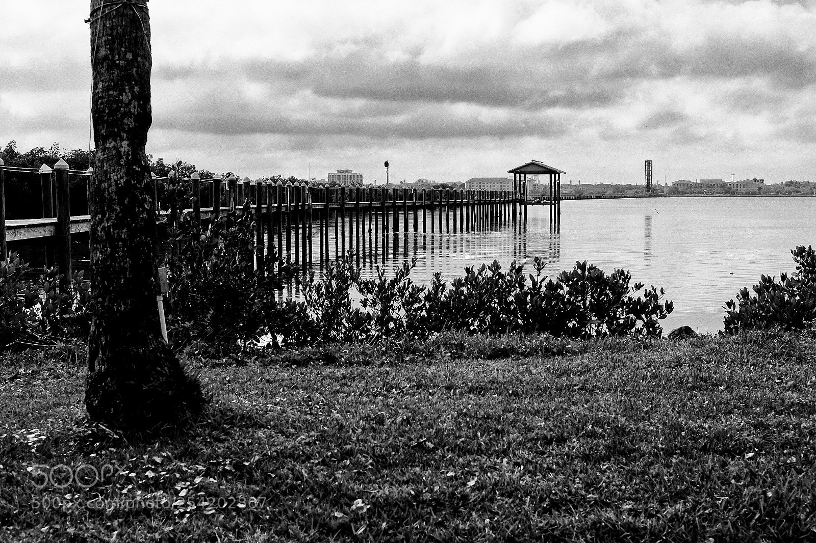 Fujifilm X-E2 sample photo. Quiet time photography