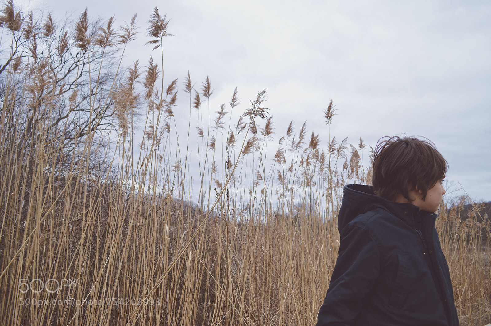 Nikon D3200 sample photo. Prince of reeds photography