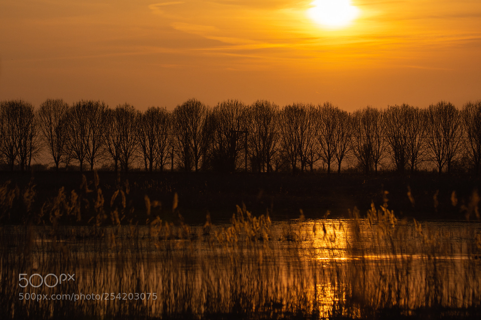 Nikon D7200 sample photo. Oostvaardersplassen sunset photography