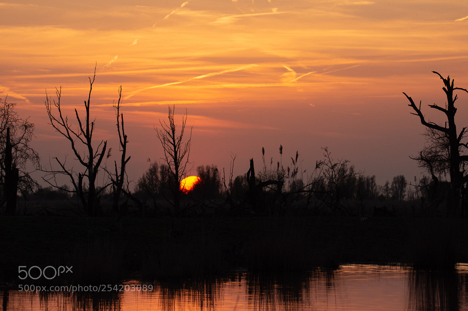 Nikon D7200 sample photo. Oostvaardersplassen sunset photography