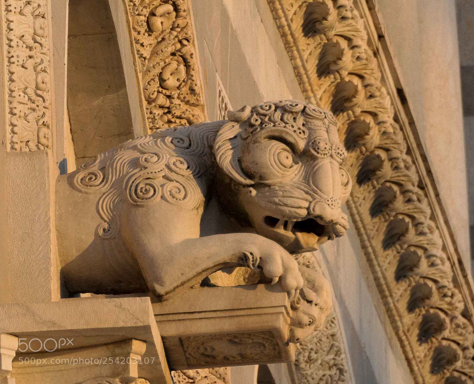 Canon EOS 77D (EOS 9000D / EOS 770D) sample photo. Descansado al atardecer de photography