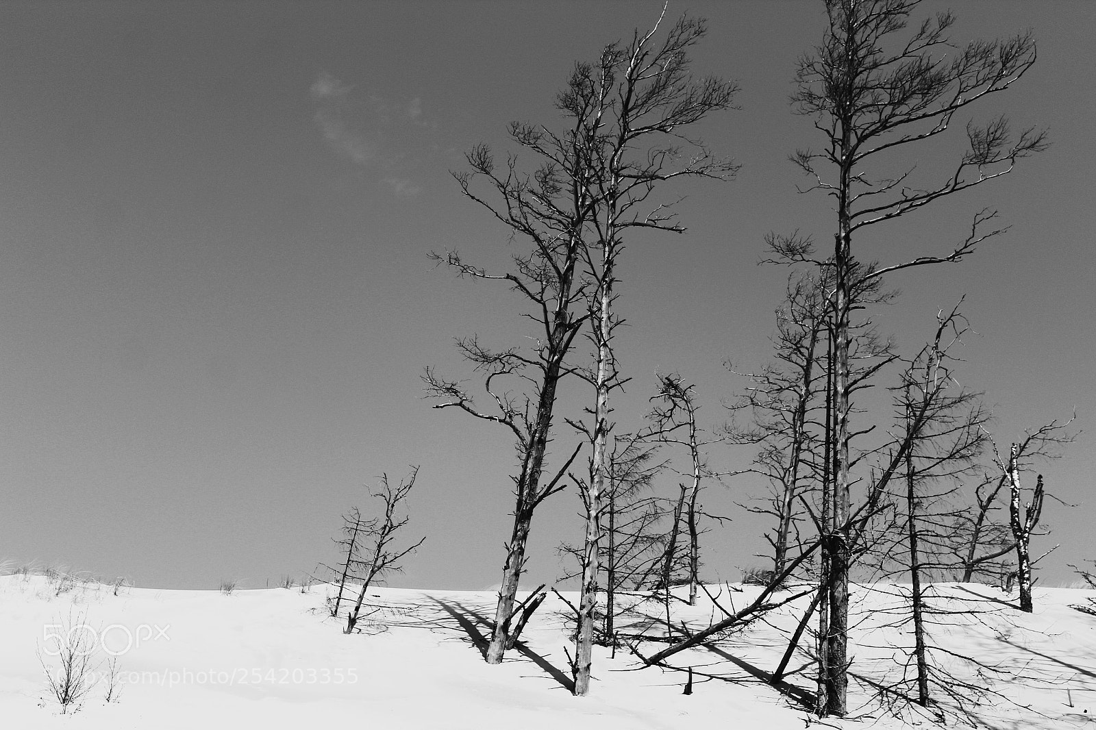 Canon EOS 1300D (EOS Rebel T6 / EOS Kiss X80) sample photo. Dunes photography