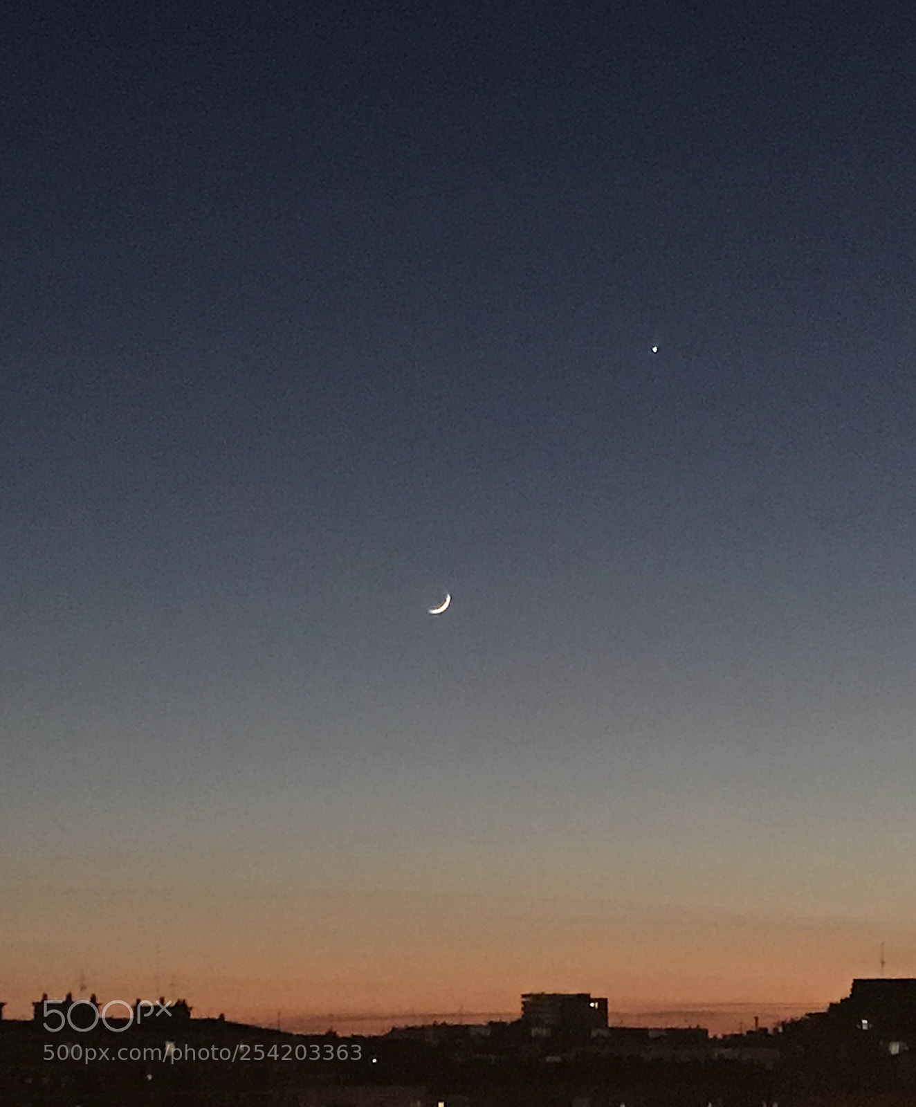 Apple iPhone 7 Plus sample photo. Untitled photography