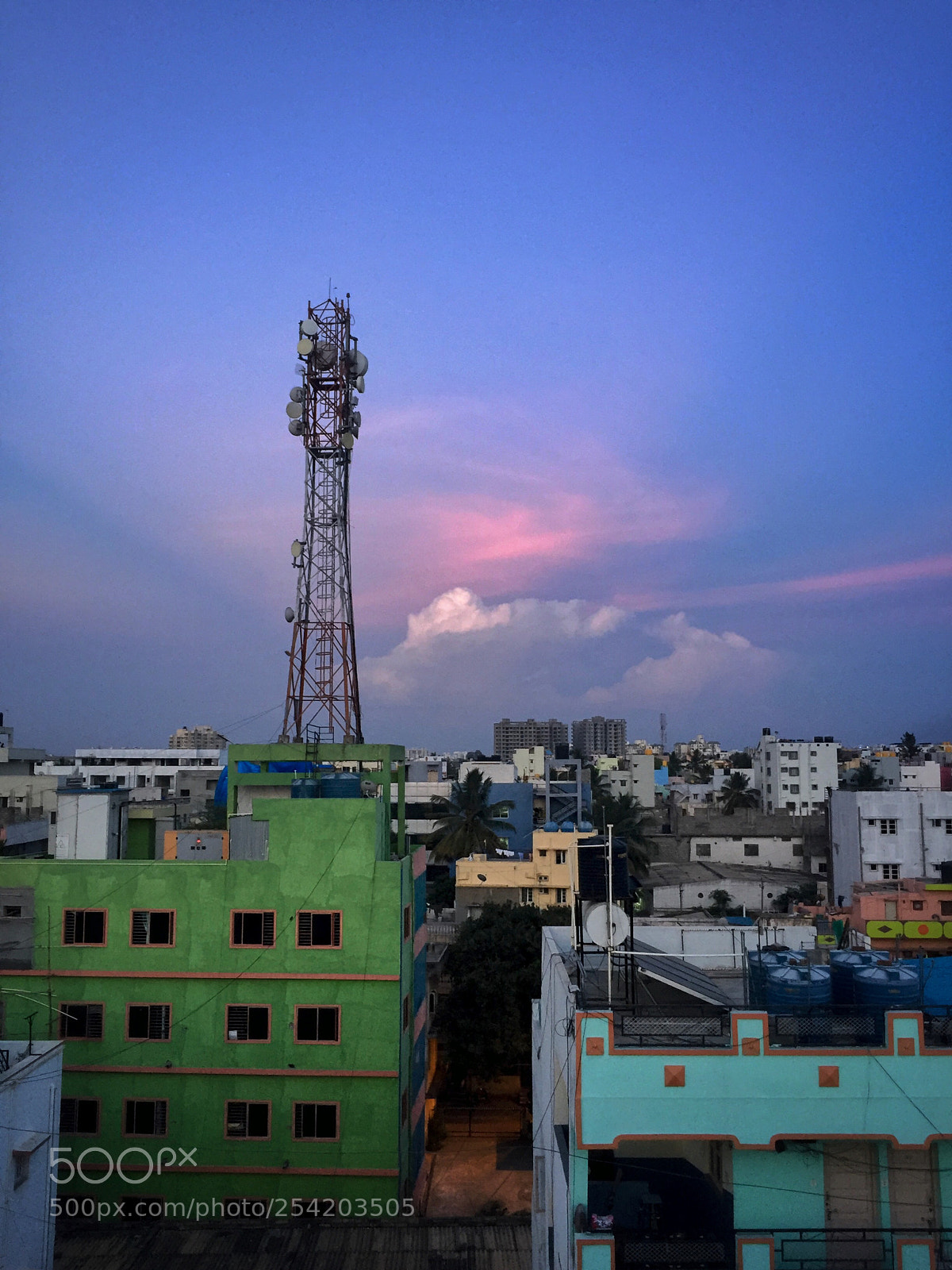 Apple iPhone 6 sample photo. Under the beautiful blue photography