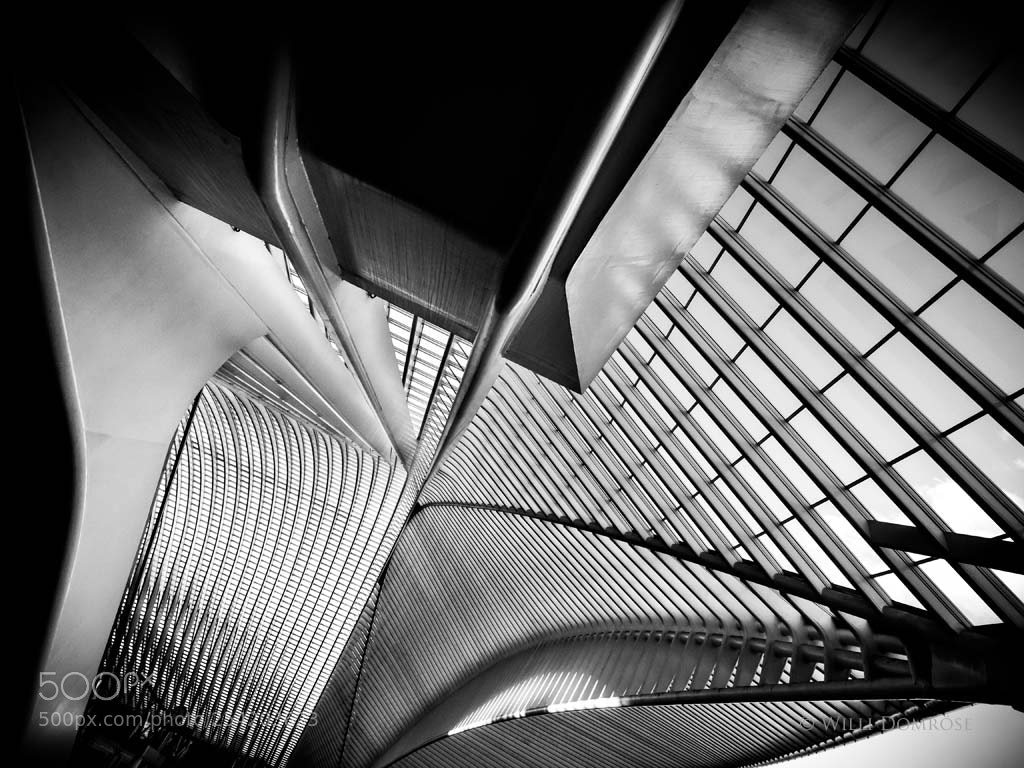 Olympus OM-D E-M1 sample photo. Lines photography