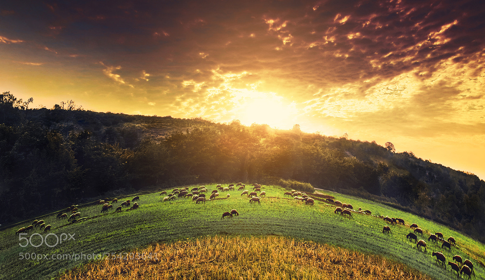 Nikon D5300 sample photo. Beautiful nature of iran photography