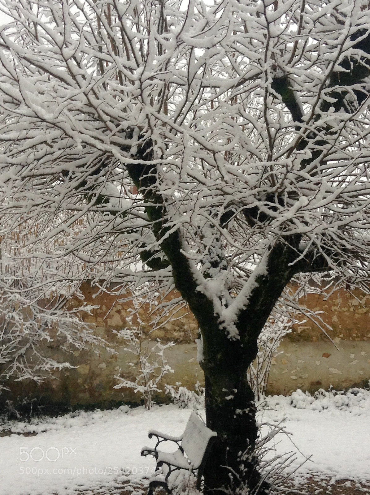 Apple iPod touch sample photo. Snow  photography