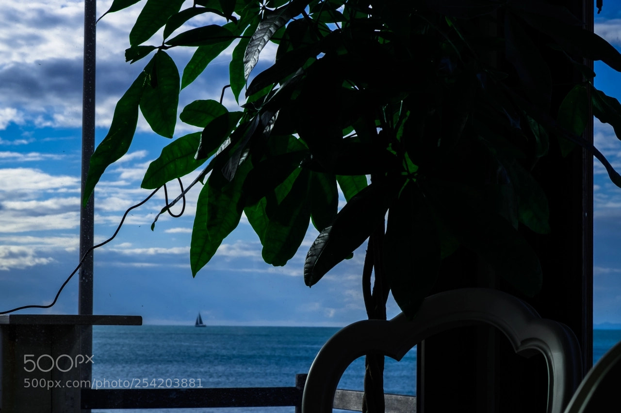 Fujifilm X-E2 sample photo. Untitled photography