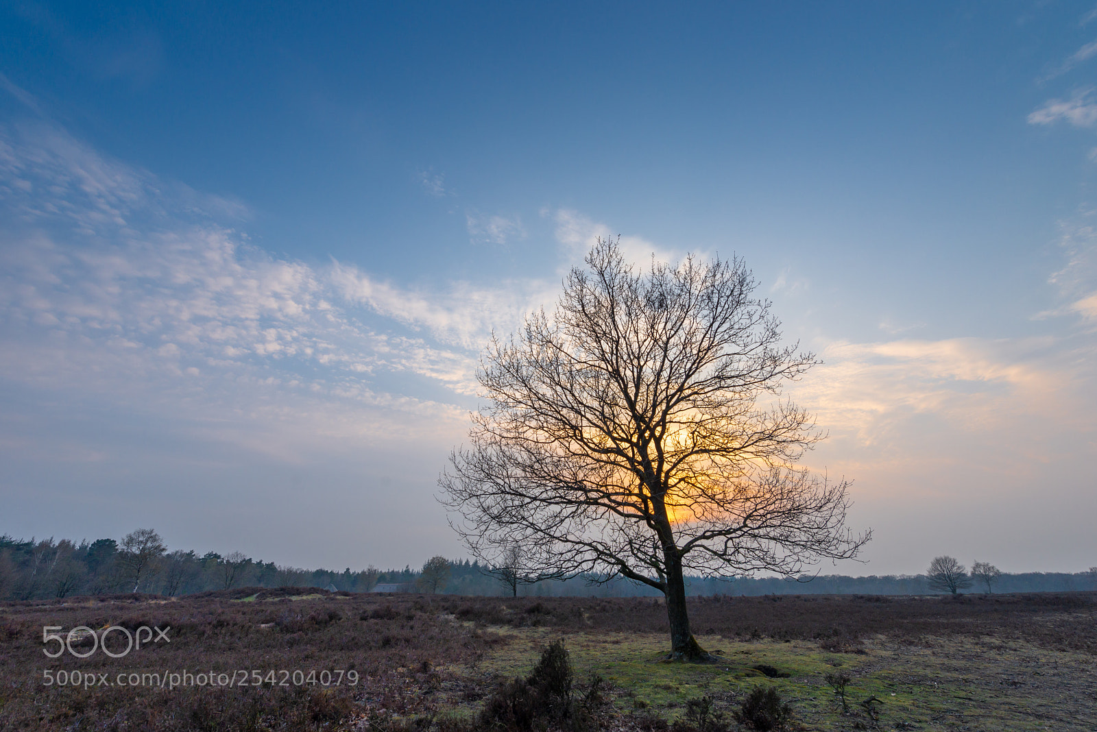Nikon D610 sample photo. Bij de schaapskooi drie photography