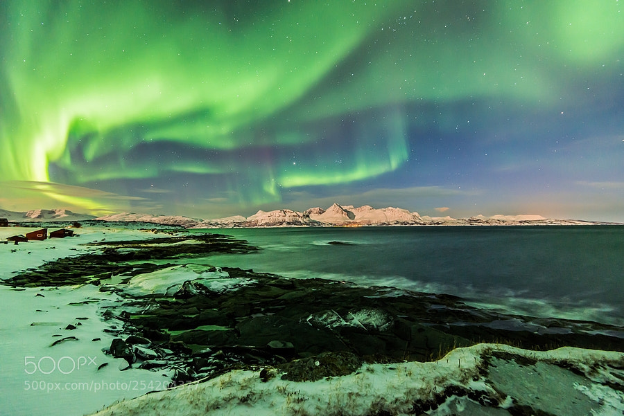 Nikon D600 sample photo. Green night photography