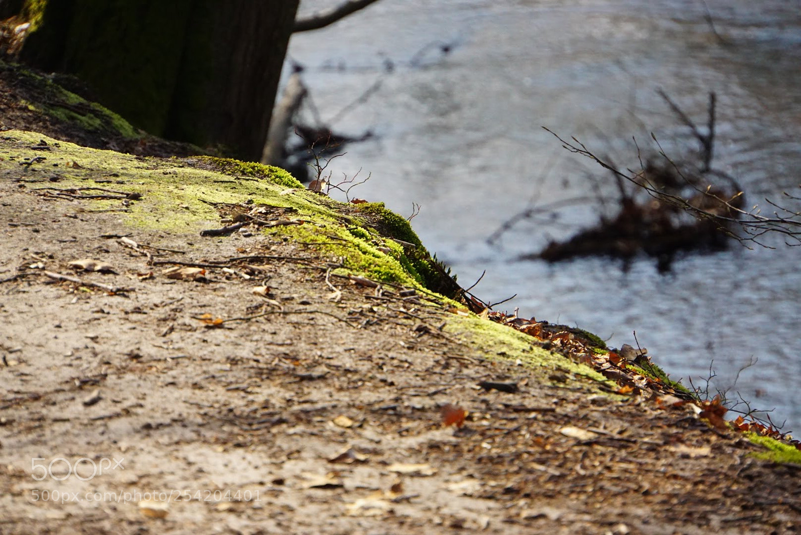Sony a6000 sample photo. Down to the river photography