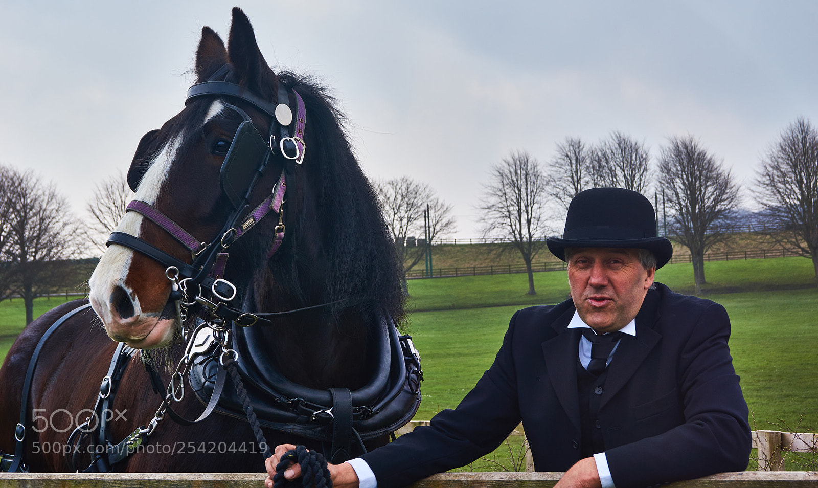 Sony SLT-A65 (SLT-A65V) sample photo. Shirehorse and a tiny photography