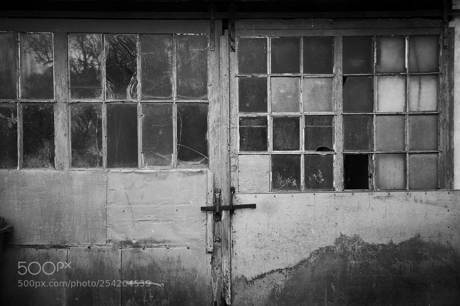 Nikon D700 sample photo. Green gate photography