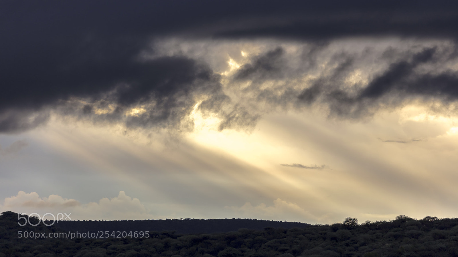 Canon EOS 5DS R sample photo. Untitled photography