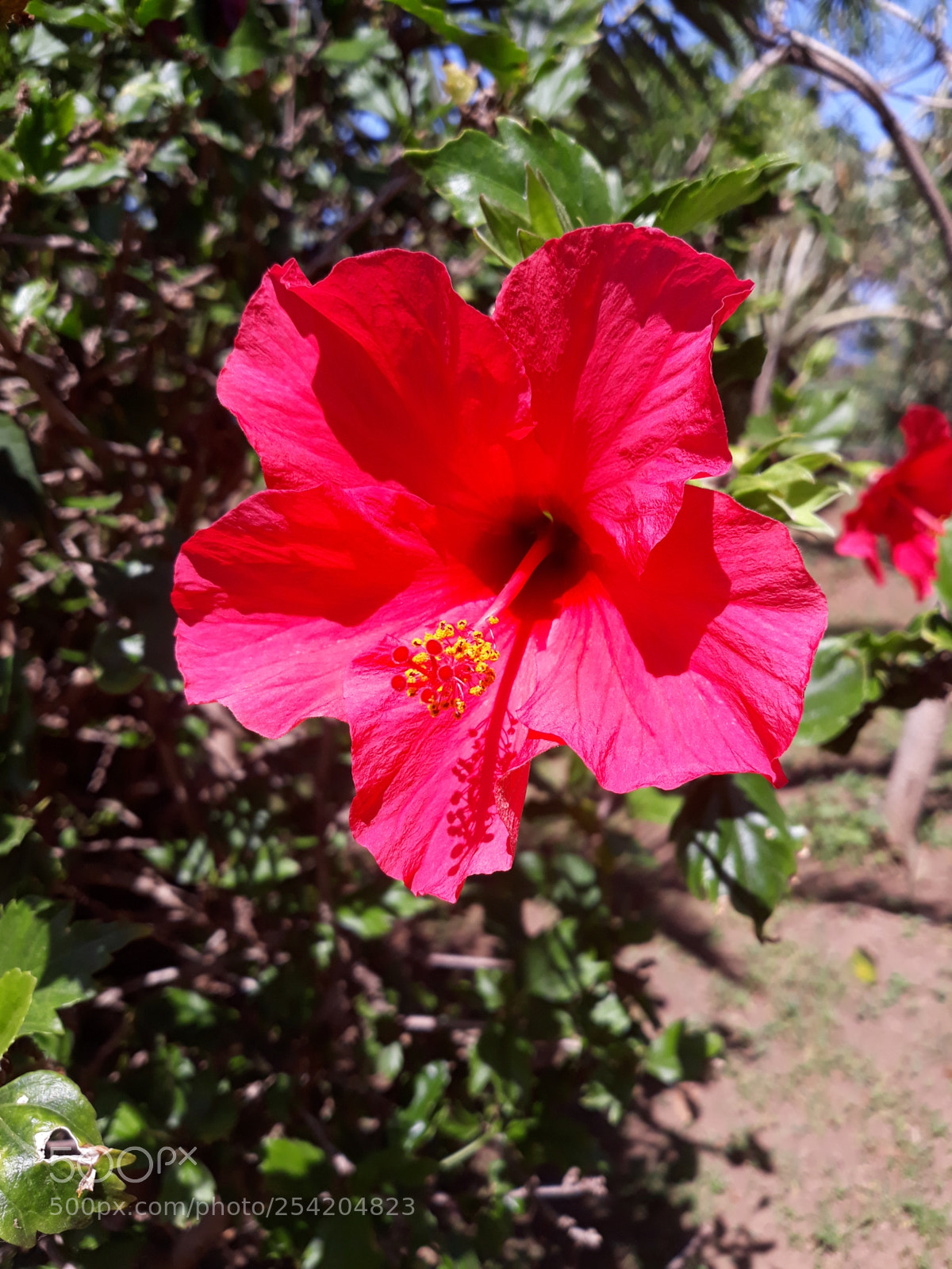 Samsung Galaxy J7 sample photo. Untitled photography