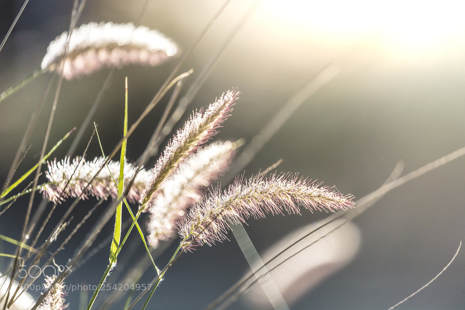 Canon EOS 5DS R sample photo. Untitled photography