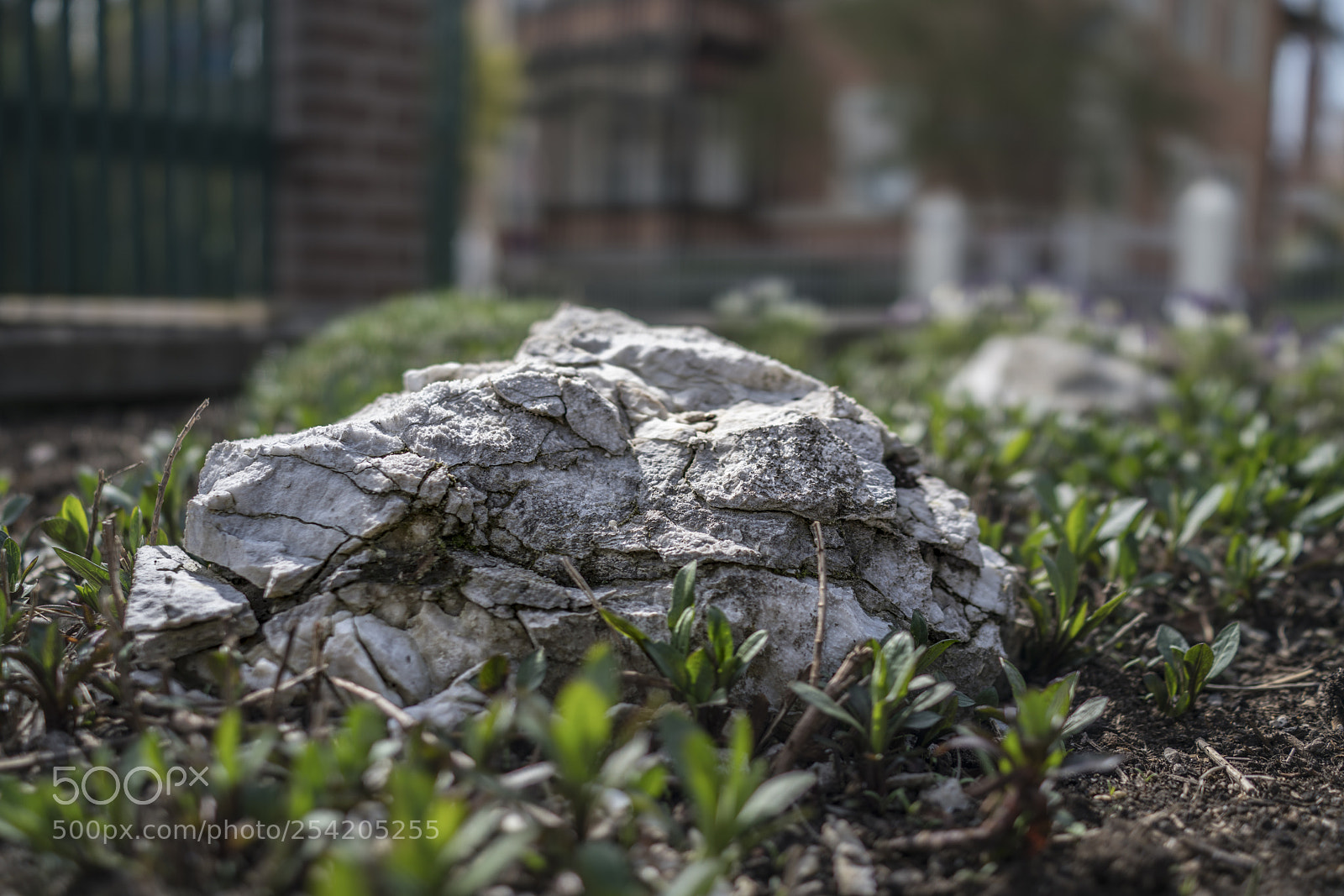 Sony Cyber-shot DSC-RX1R II sample photo. Bad f photography