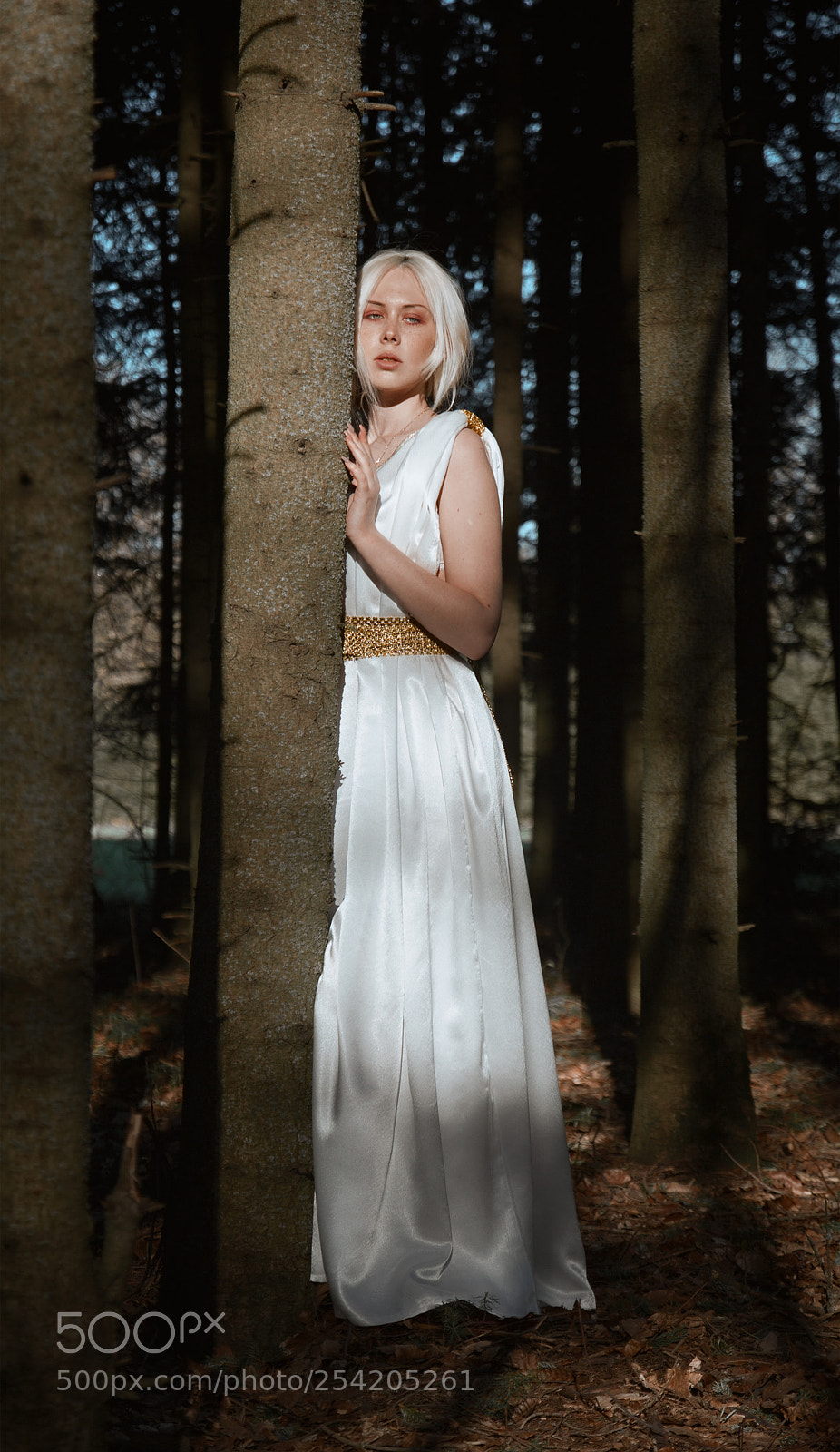 Canon EOS 70D sample photo. Aphrodite photography