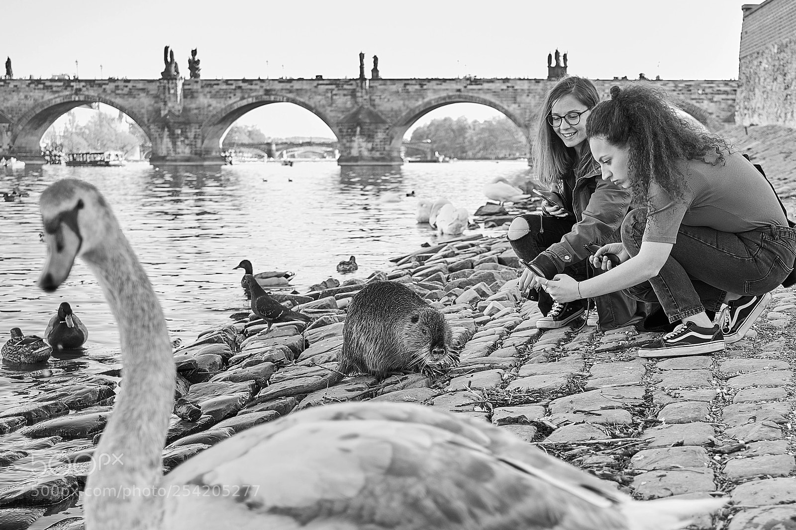 Fujifilm X-T20 sample photo. Prague super star #1 photography