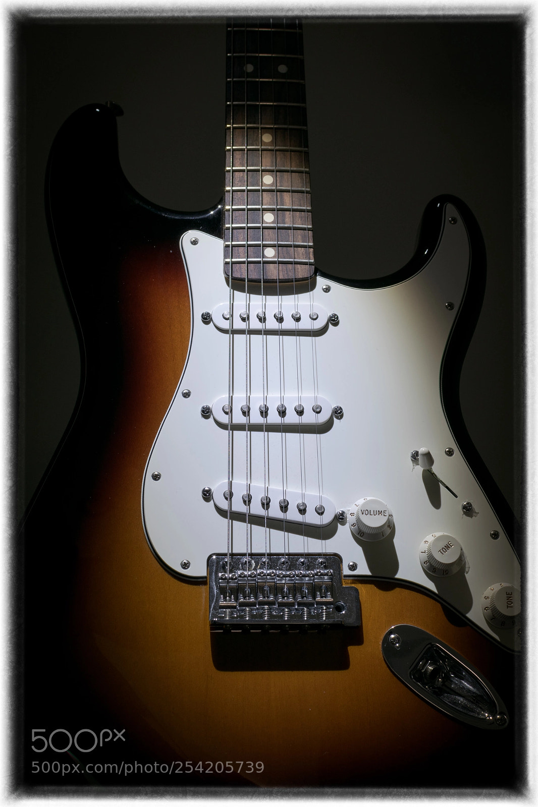 Nikon D5300 sample photo. Fender strat photography