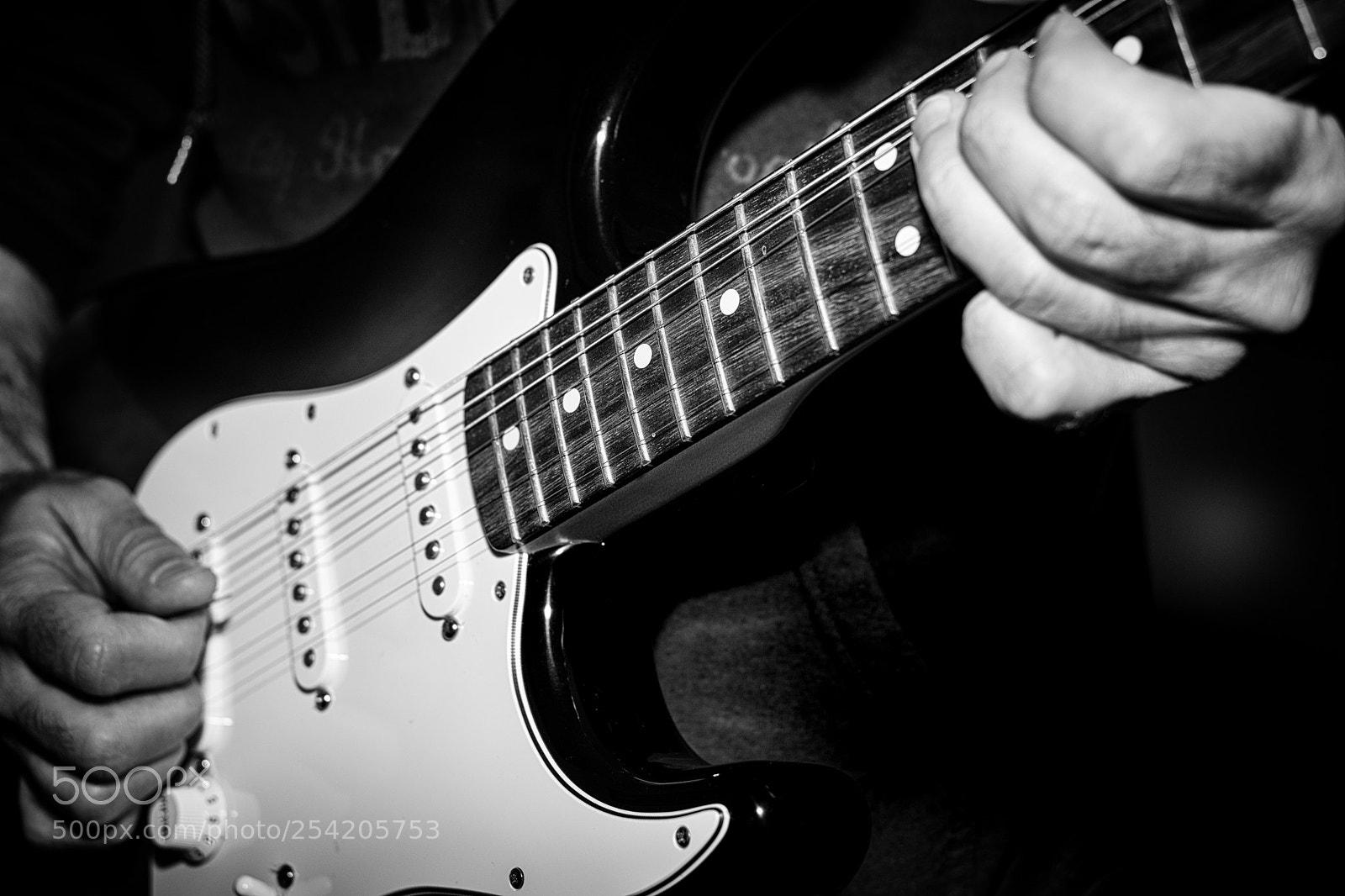 Nikon D5300 sample photo. Jamming fender photography