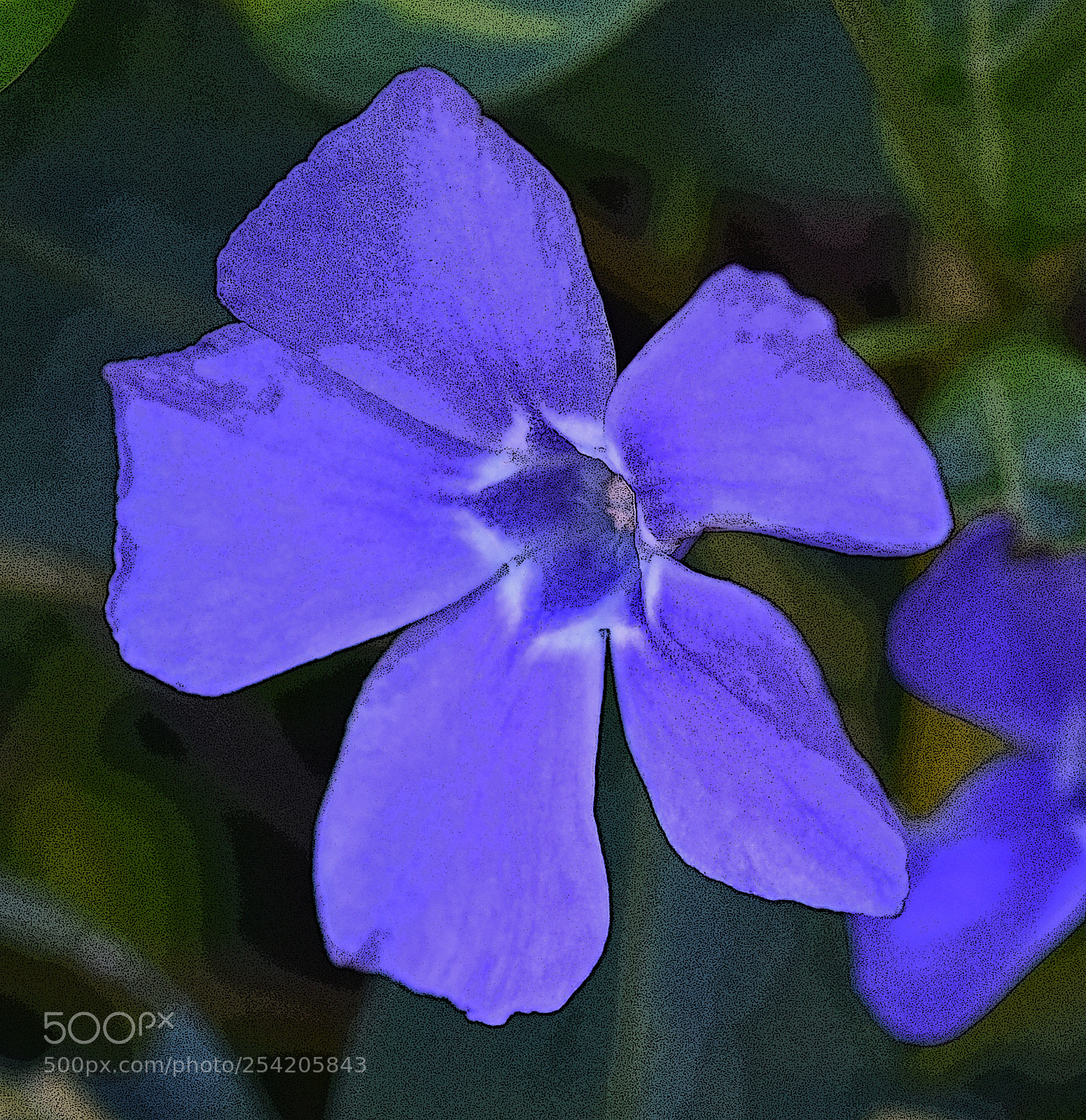 Nikon D7200 sample photo. Purple posterized photography