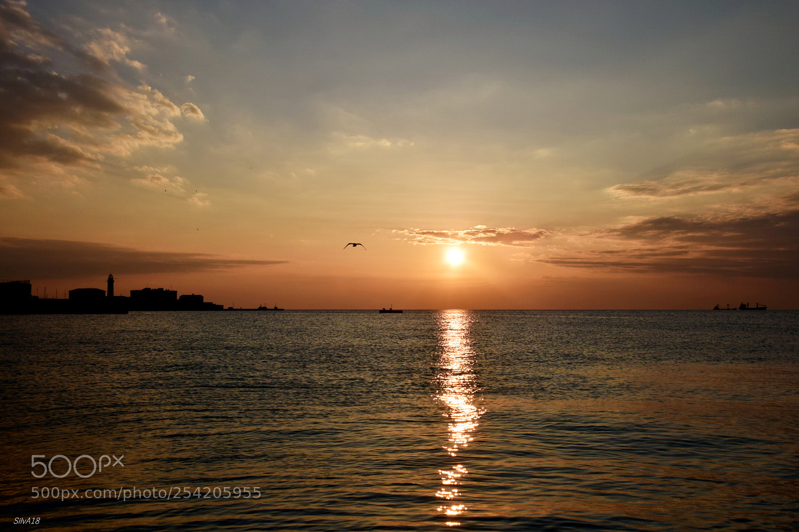 Nikon D5300 sample photo. Triest photography