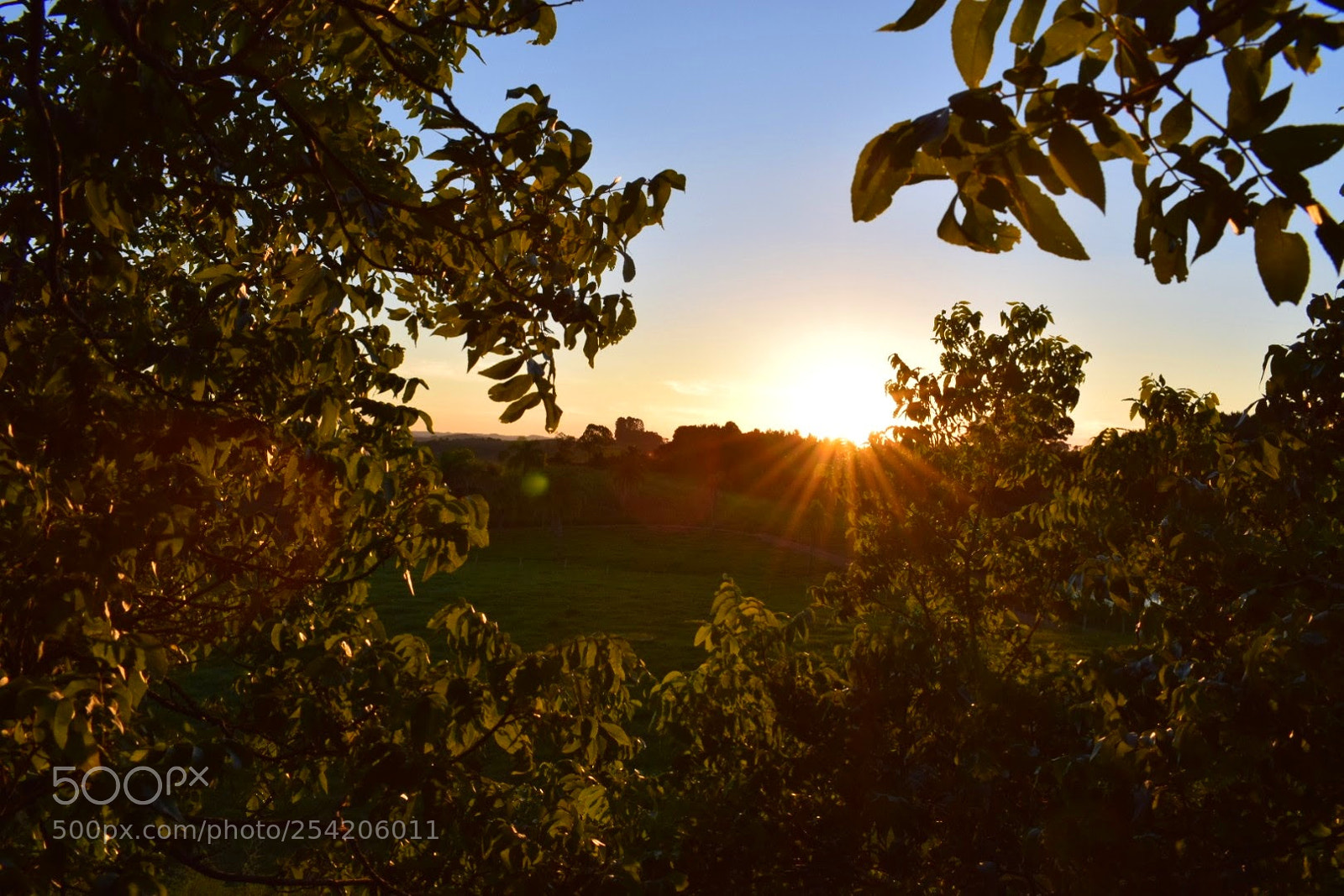 Nikon D5300 sample photo. Sunset'three photography