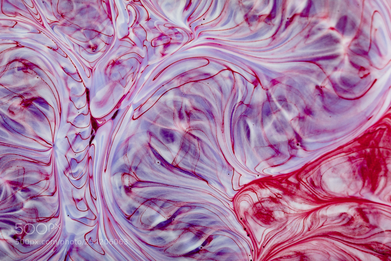 Nikon D610 sample photo. Ghostlines photography