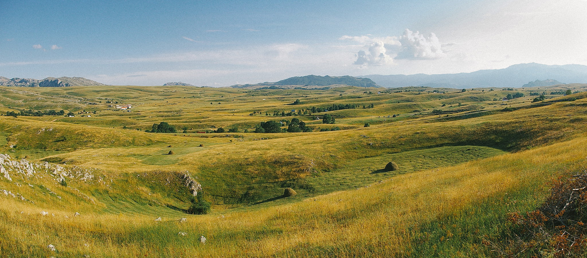 Pentax *ist DS sample photo. Meadow pano photography