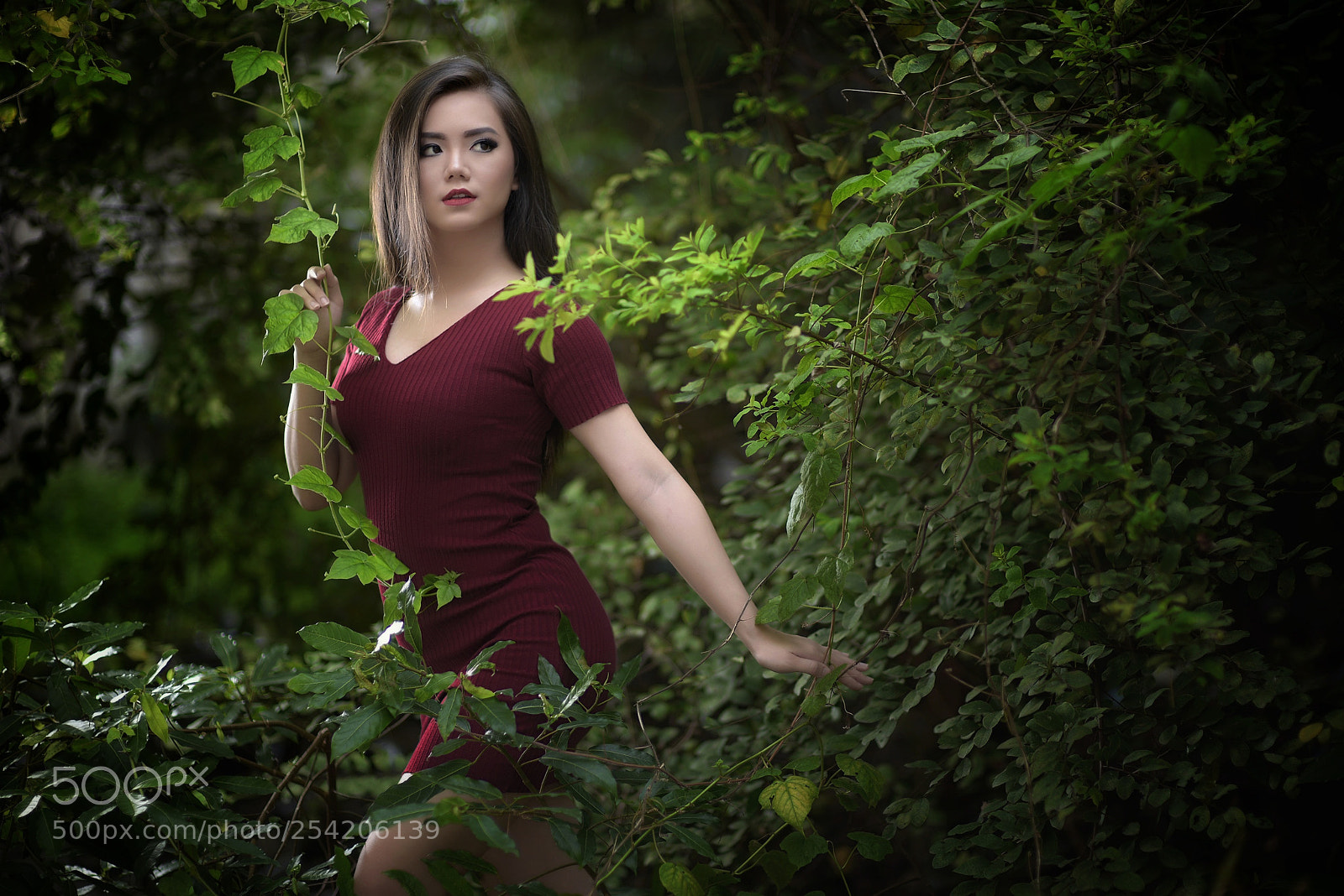 Nikon D810 sample photo. Untitled photography