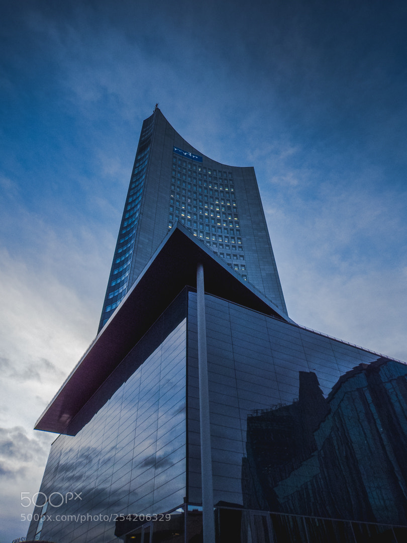 Fujifilm FinePix S1 sample photo. Panorama tower photography