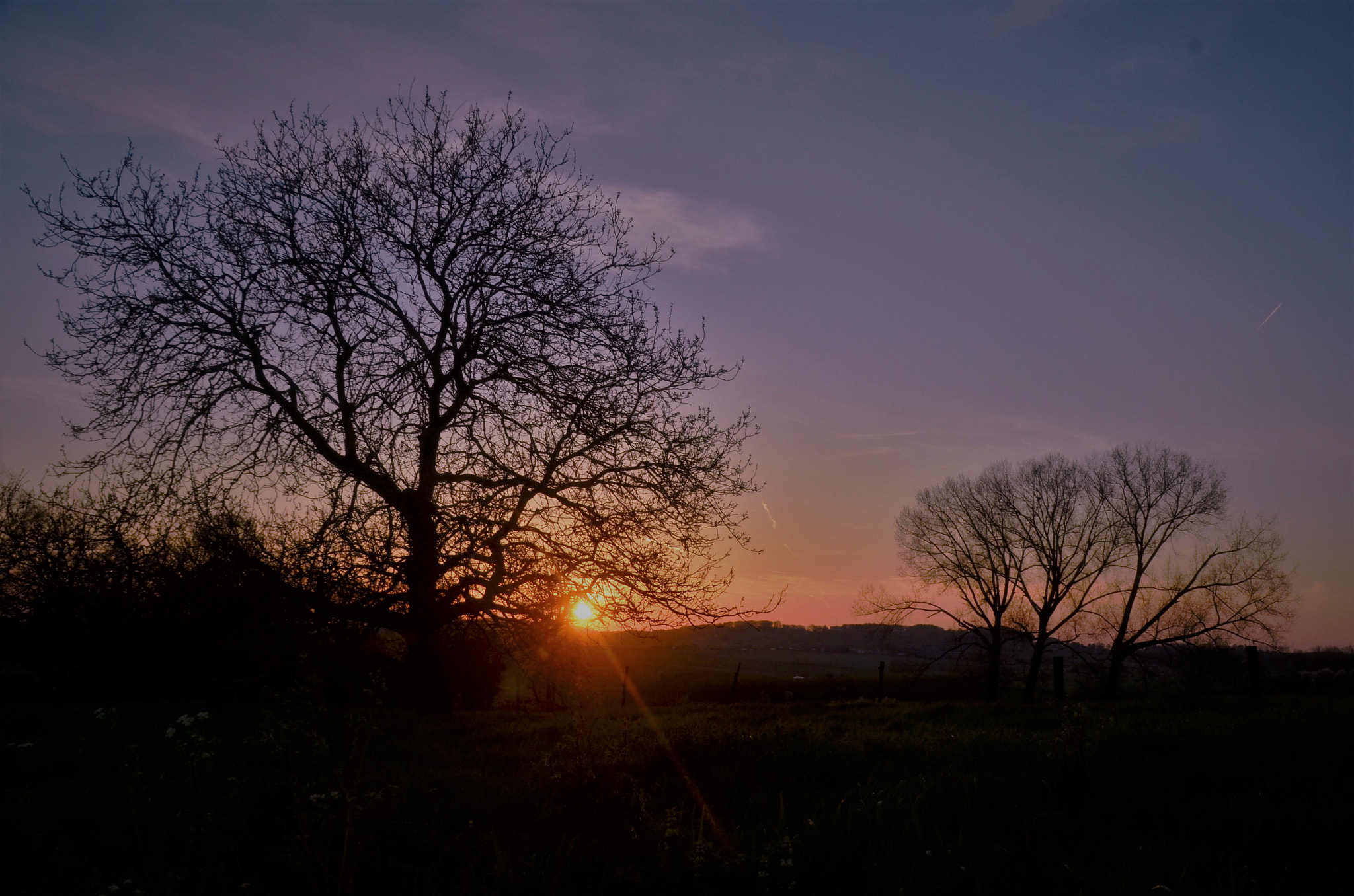 Nikon D7000 sample photo. The black mountain view photography