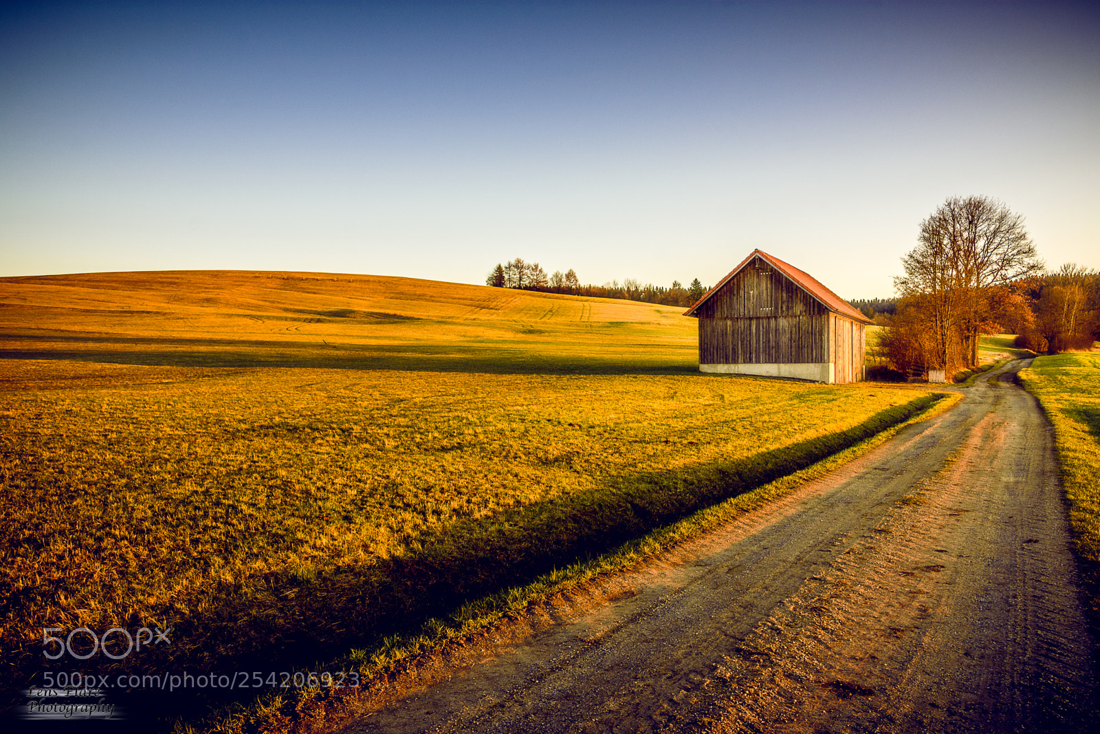 Nikon D7200 sample photo. Way of light photography