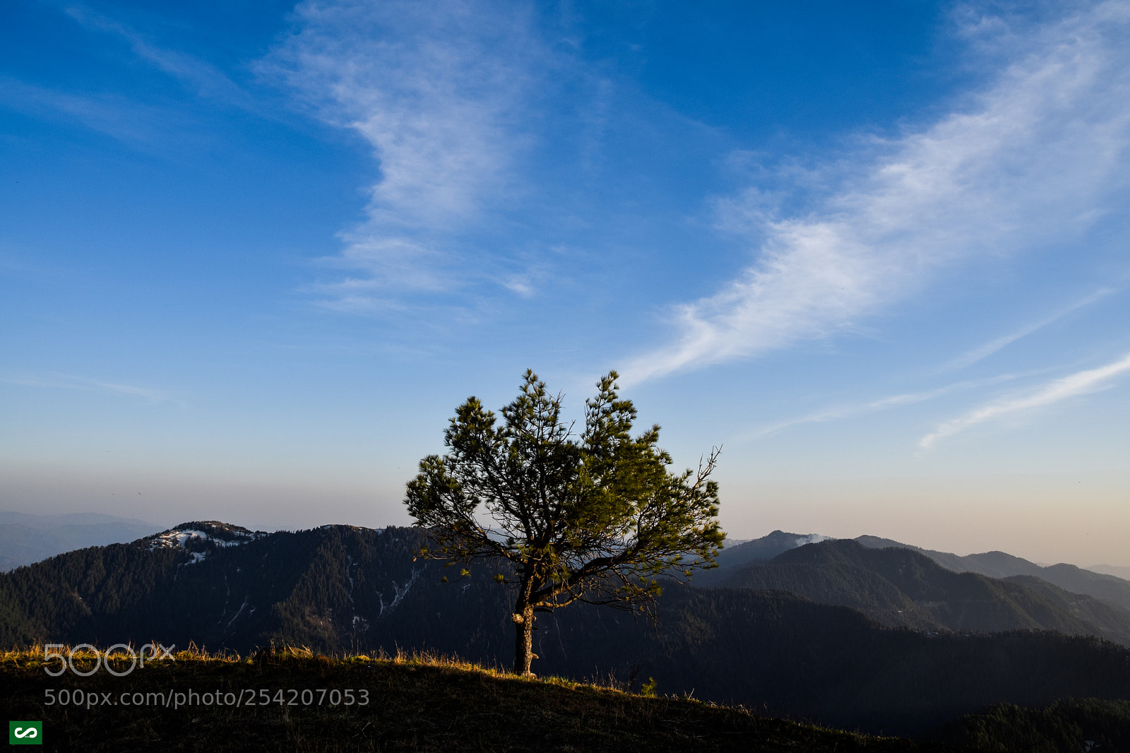 Nikon D5300 sample photo. The golden hour photography