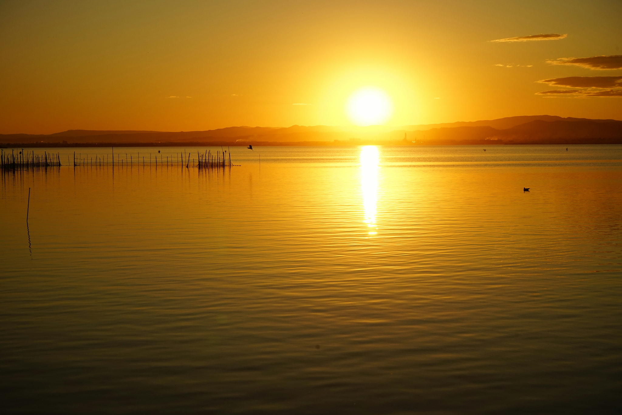 Sony a7 + Sony FE 28-70mm F3.5-5.6 OSS sample photo. Atardecer en la albufera photography