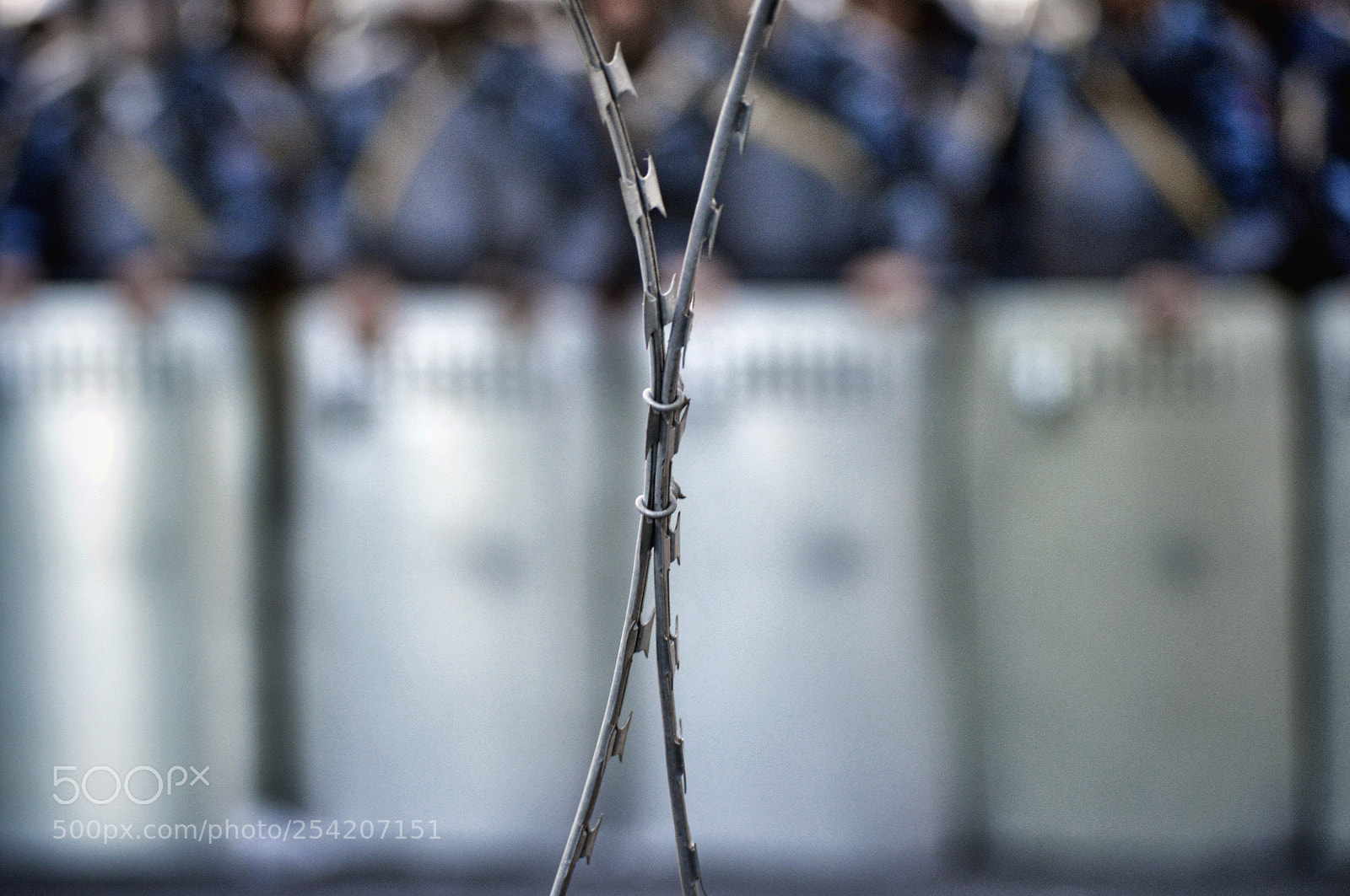 Nikon D3200 sample photo. Beyon the barbed wire photography
