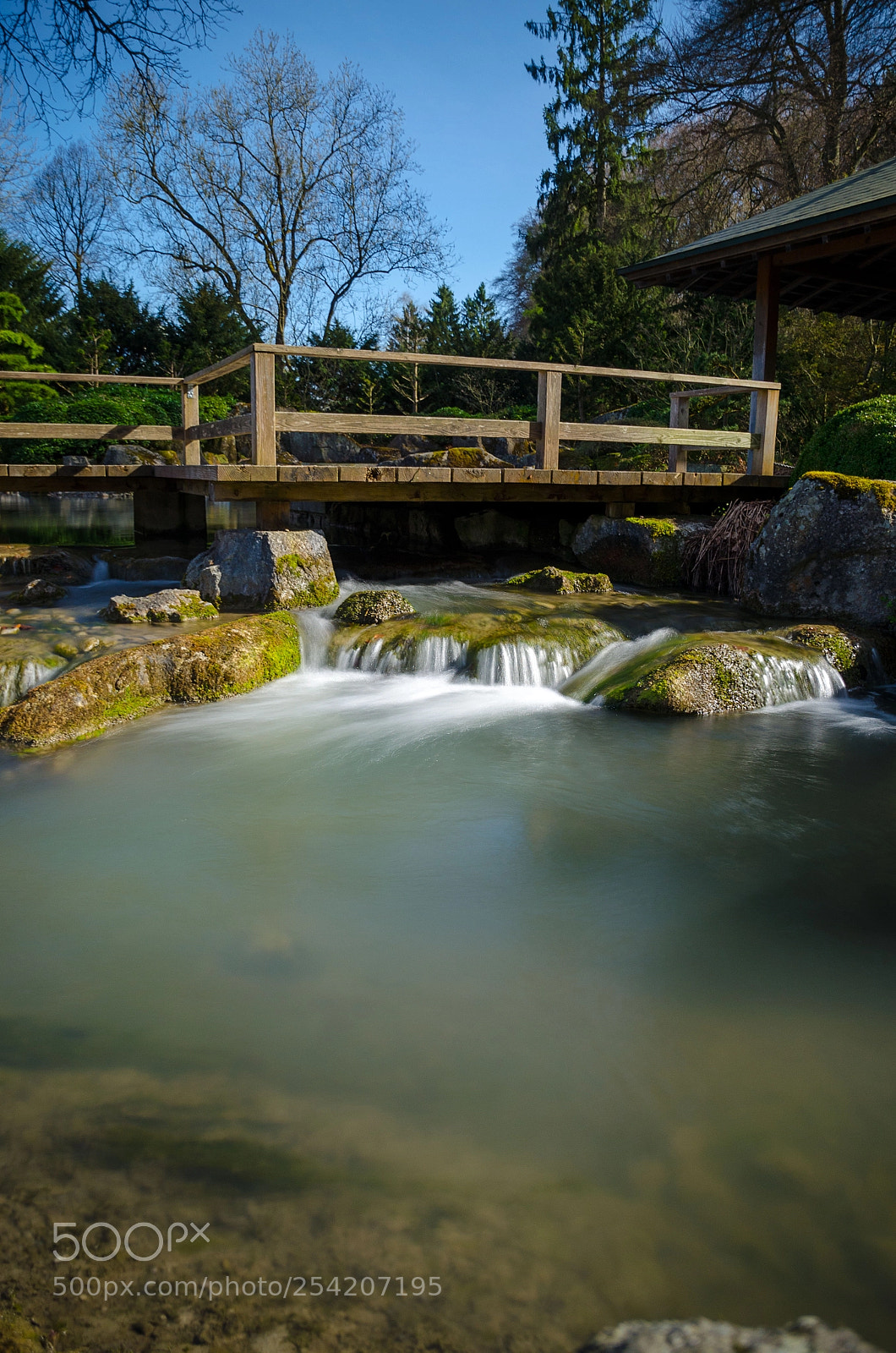 Nikon D5100 sample photo. Zen photography