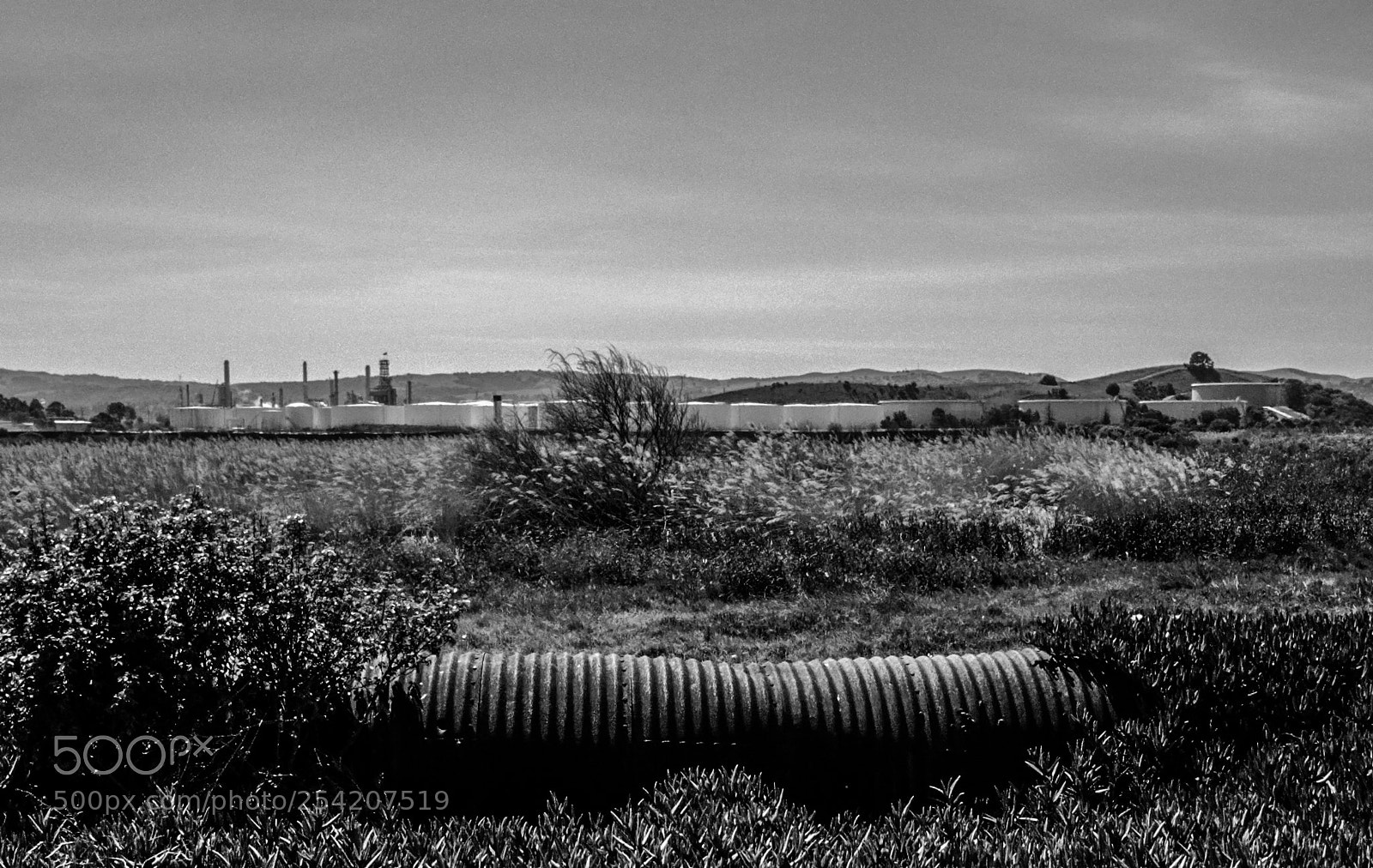 Leica M (Typ 240) sample photo. Martinez 01 photography