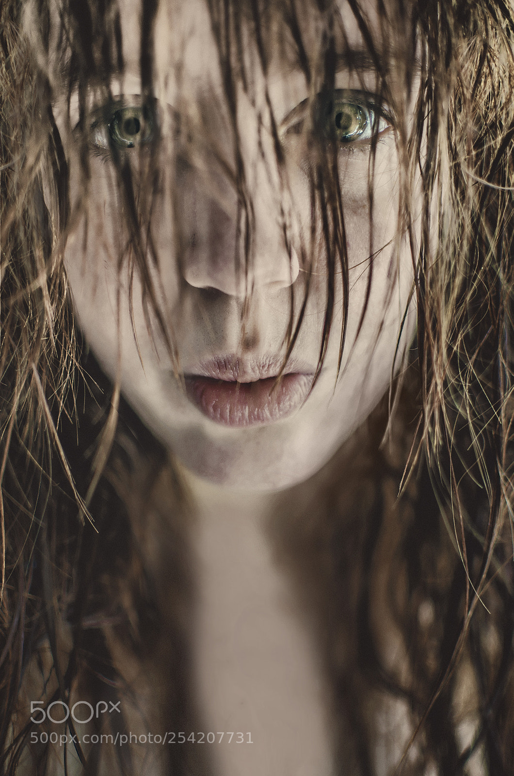 Nikon D5100 sample photo. Wet look photography