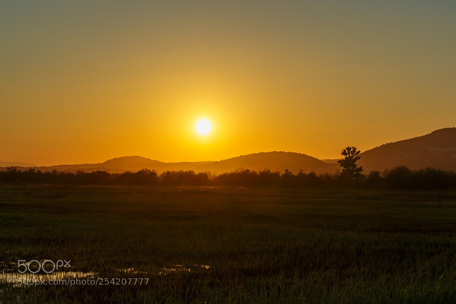 Canon EOS 700D (EOS Rebel T5i / EOS Kiss X7i) sample photo. Marjal del moro sunset photography