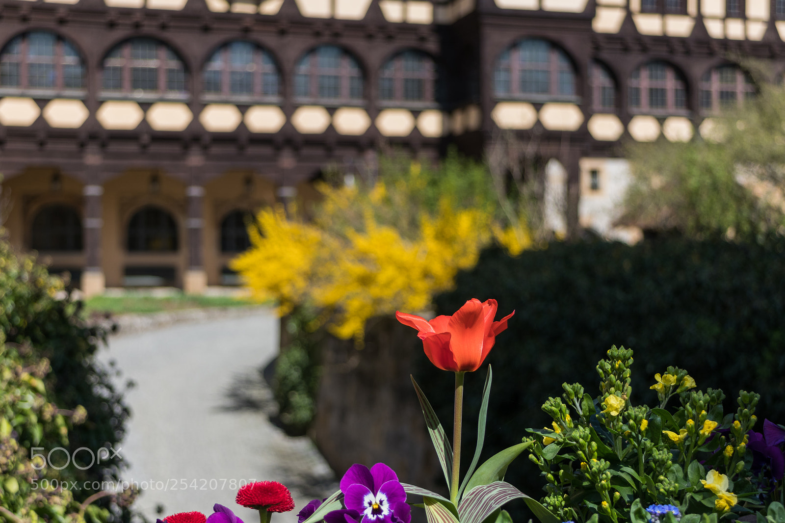 Canon EOS M5 sample photo. Veste coburg photography
