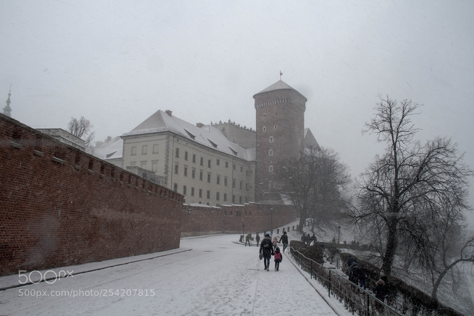Canon EOS 7D sample photo. Winter castle wawel photography