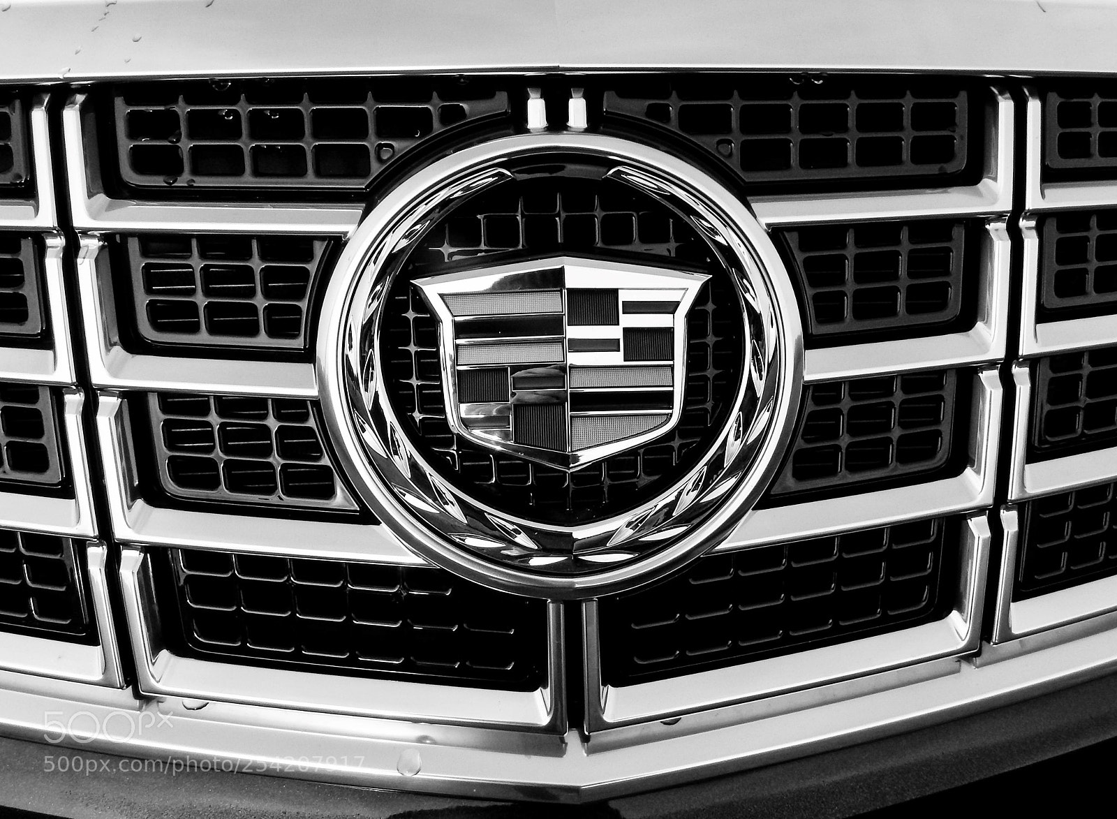 Nikon Coolpix L820 sample photo. Caddy photography