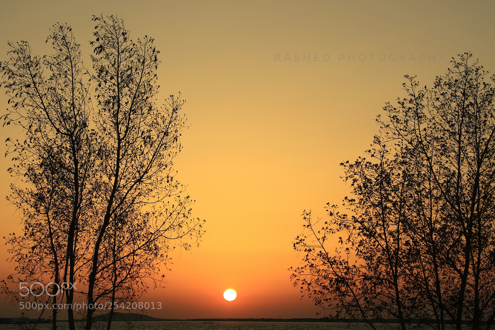 Canon EOS 7D Mark II sample photo. Untitled photography