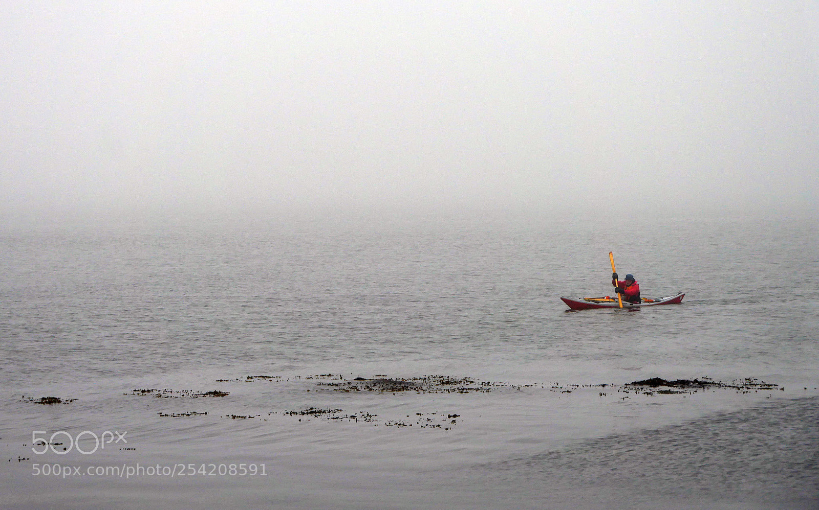 Panasonic Lumix DMC-GX8 sample photo. In the mist photography