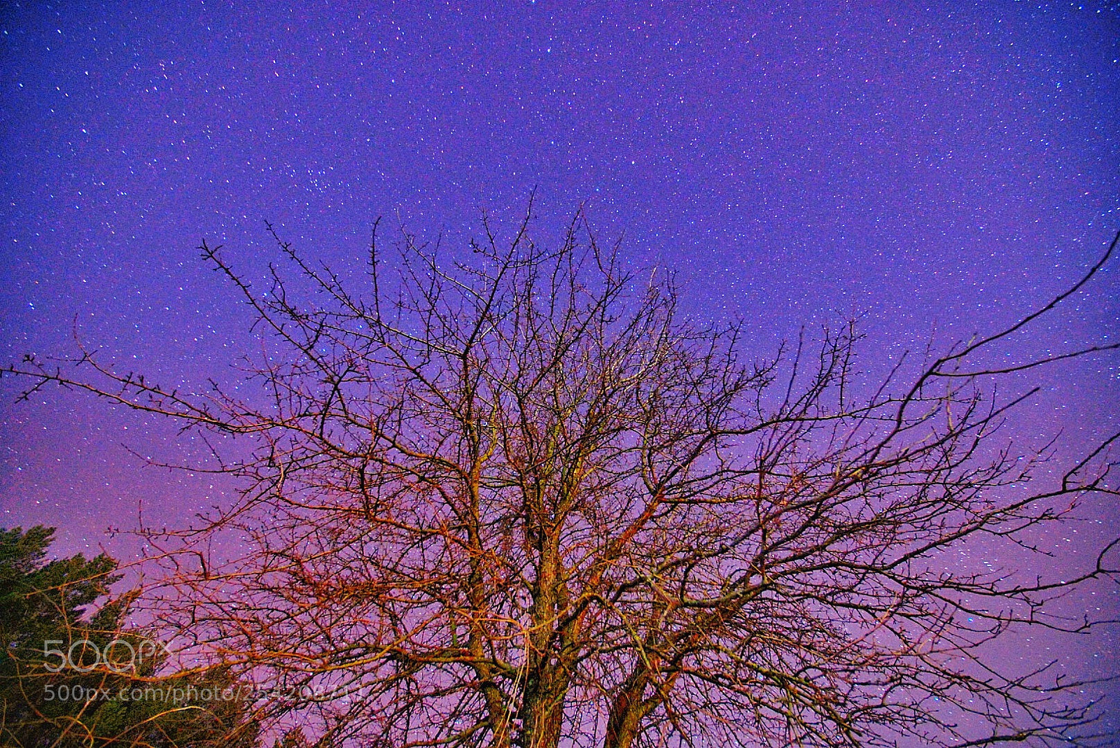 Sony a6500 sample photo. Starscraper photography