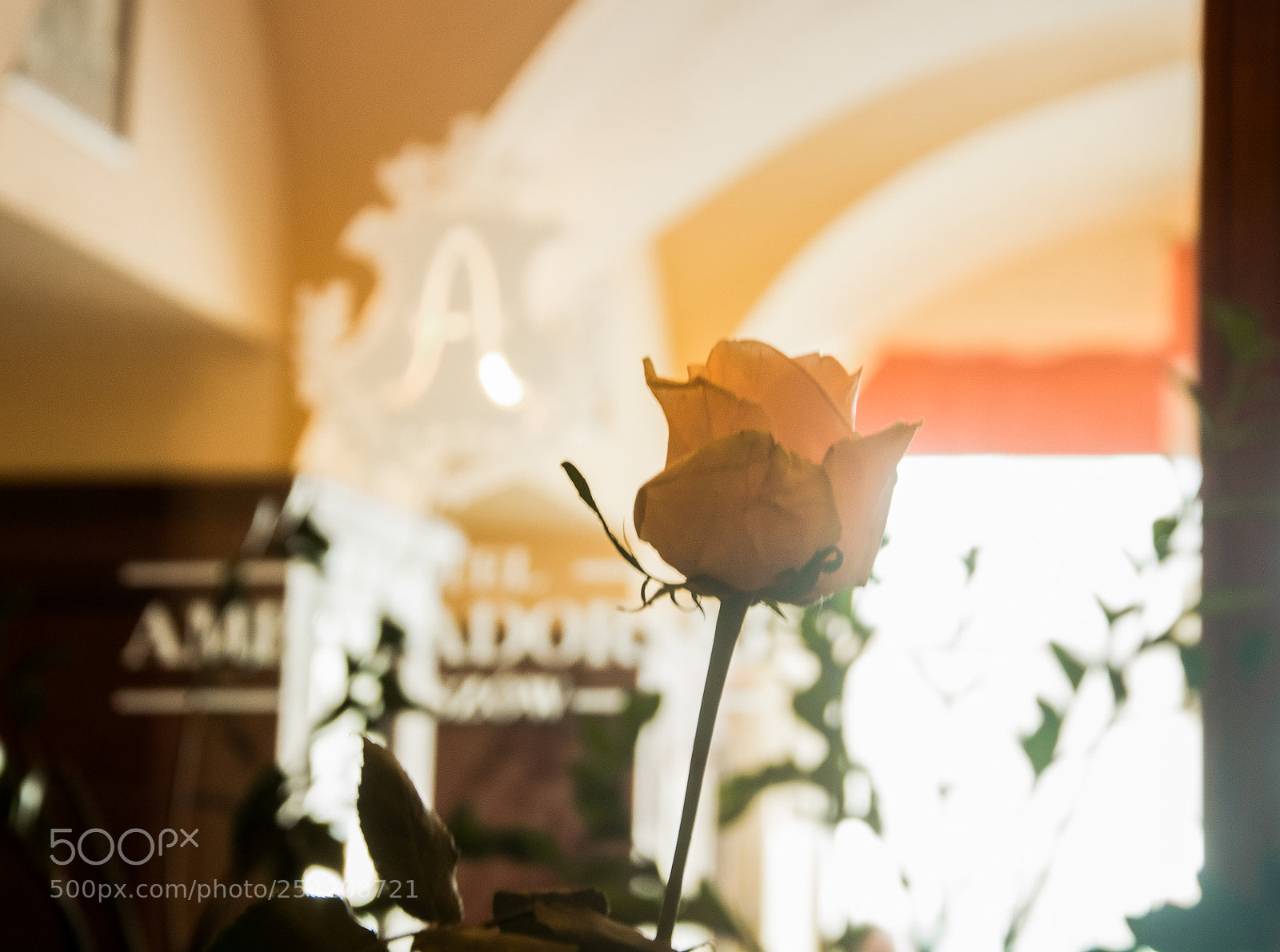 Nikon D7100 sample photo. Hotel ambasadorski 2 photography