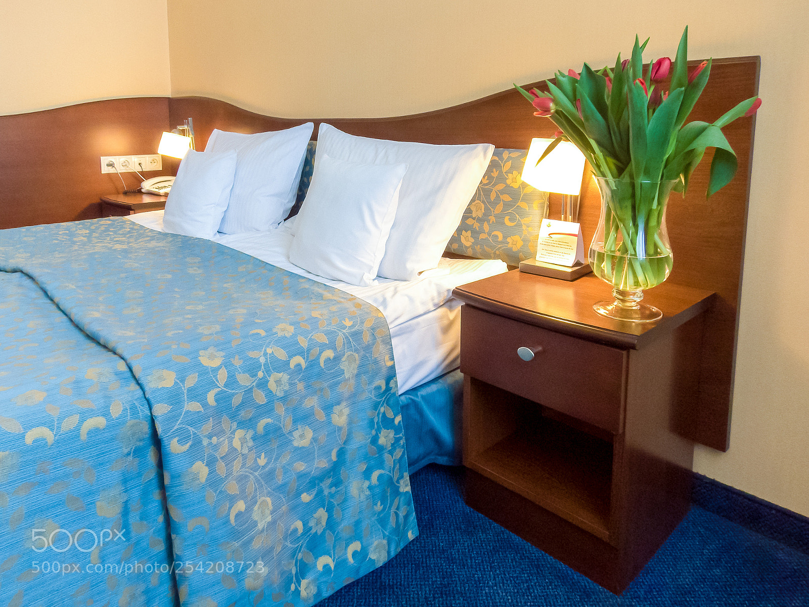 Fujifilm FinePix S1 sample photo. Hotel ambasadorski 1 photography